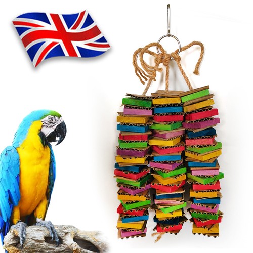 Bird parrot toy - toy, large