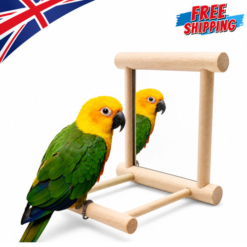 Wooden bird mirror - wooden, interactive