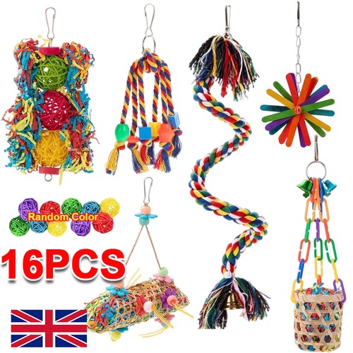 Pack parrot toys set - pack,