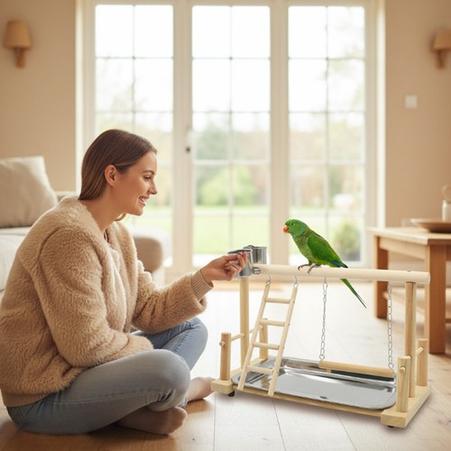 Parrot playstand bird plays - parrot,