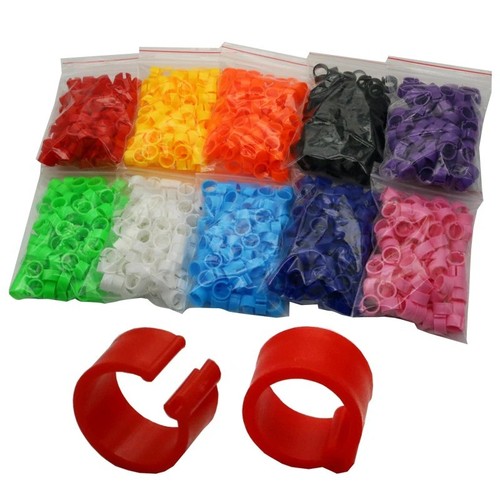 100pcs 8mm bird leg rings - bird,