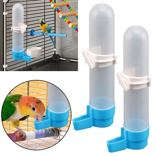 Bird water feeder automatic - bird,