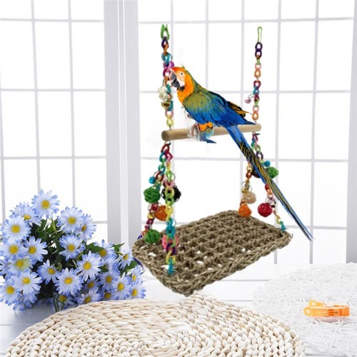 Parrot swing african - swing, grey