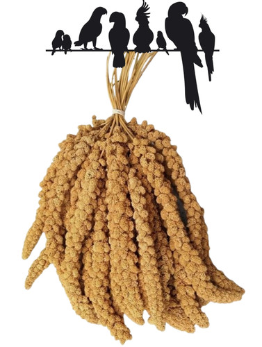 Premium millet spray - premium, springs