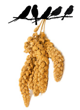 Caged Bird Aviary Millet