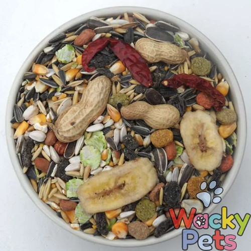 Parrot food seed - food,