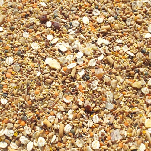 Tidymix budgie food high - budgie,