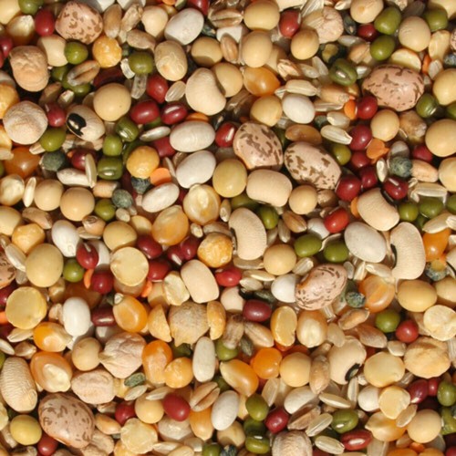 Tidymix pulse rice - tidymix, soaking