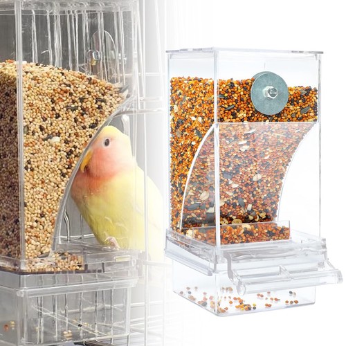 Auto bird feeder - auto,