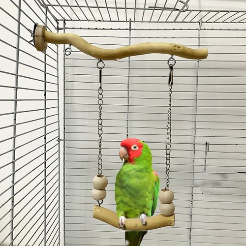 Bird swing perch toy wooden - bird,
