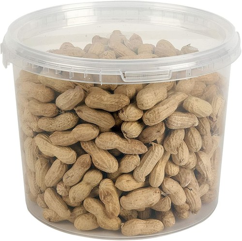 Monkey nuts peanuts shells - in,