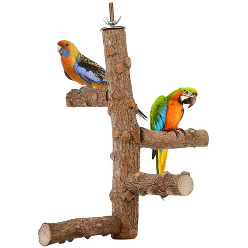 Birds wooden cockatiel conure - wooden,