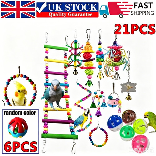 Pack parrot toys - toys, metal