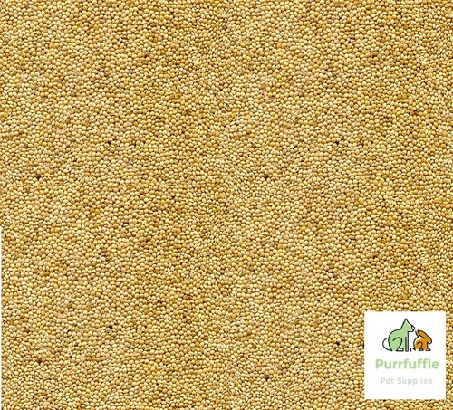 20kg white millet bird - white, seed