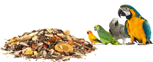 Parrot food tropical fruit - food,