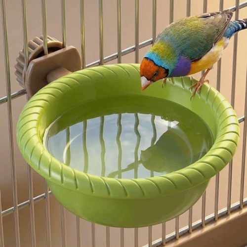 Bird water bath - bird,