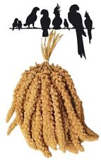 Premium Millet Spray Springs