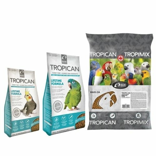 Hari tropican parrot - tropican, lifetime