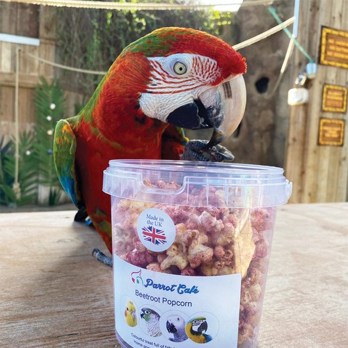 Parrot cafe - cafe,