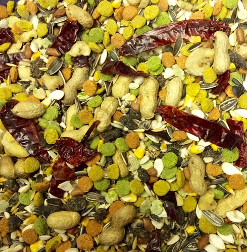 Parrot mix premium - premium, high