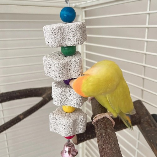Bird chewing toy - chewing, parrot