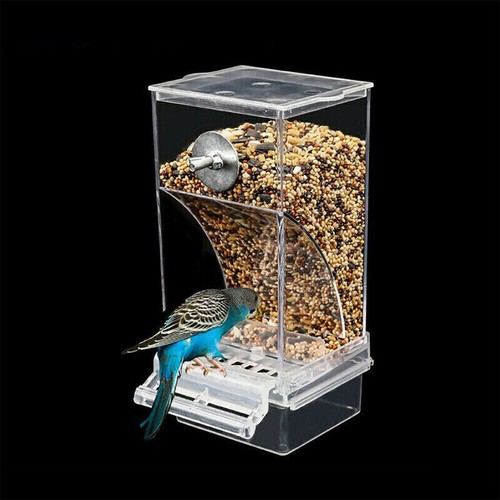 Automatic acrylic bird feeder - automatic,