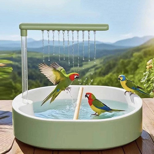 Automatic bird bathtub - bird, parrot