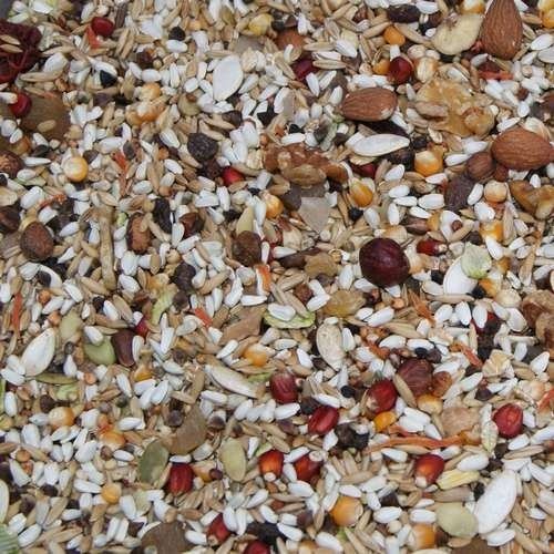 As30 bird seed for parrots - as30,