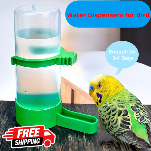 Bird water feeder - bird,