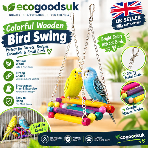 Pet bird parrot parakeet - pet,