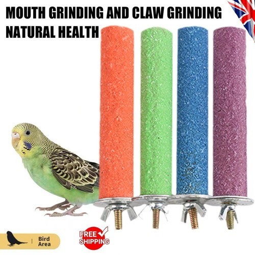 Bird perch beak claw - bird, –