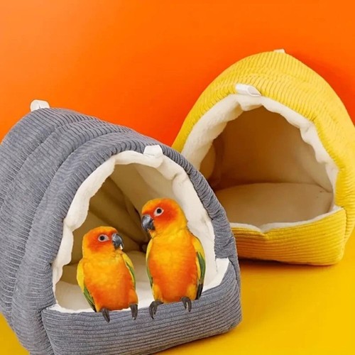 Pet bird bed parrot parakeet - bird,