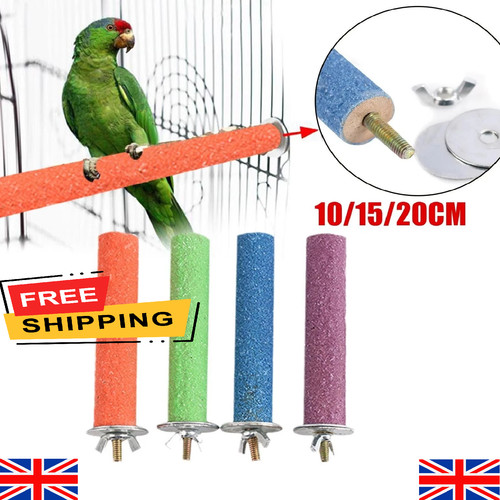 Bird perch beak - bird, &