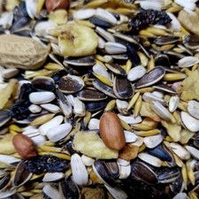 Parrot Food Ringnecks