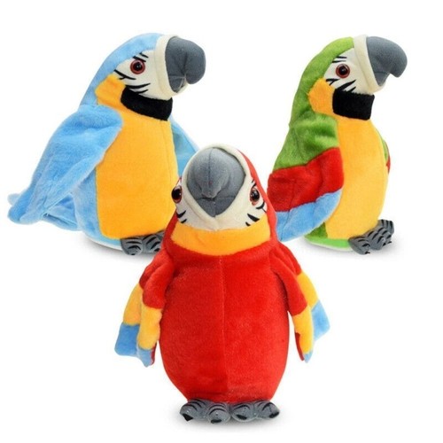 Repeat parrot talking birds - repeat,