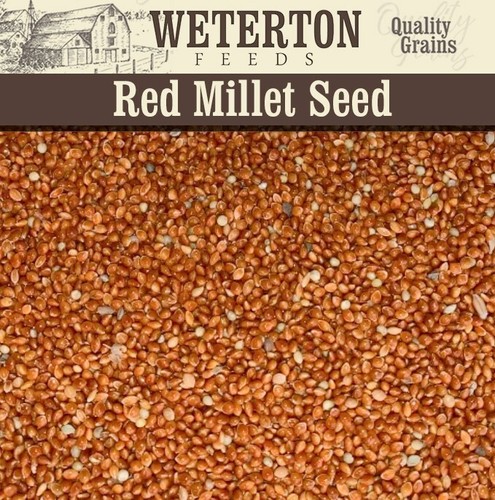 Red and white millet - white, mix