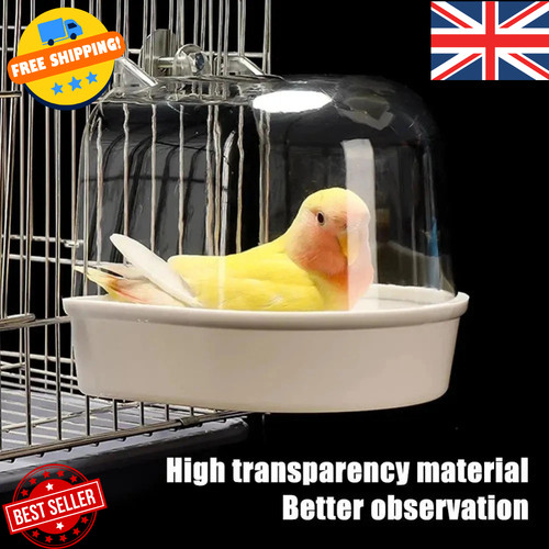 Clear hanging bird - hanging,
