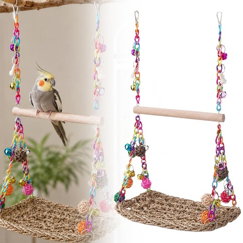 Parrot swing bird - swing, toy