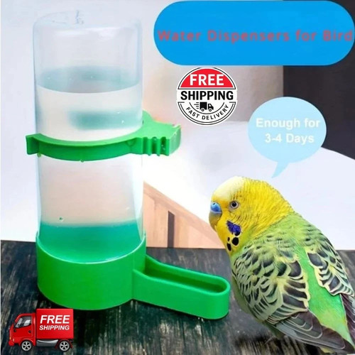 3pc bird water - water, feeder