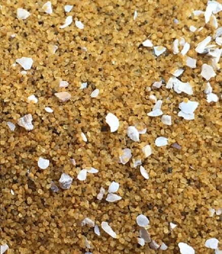 Bird sand with oystershell - bird,