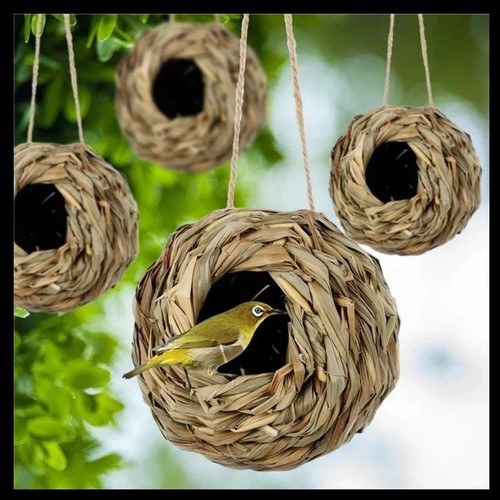 2024 birds nest - birds, woven