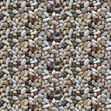 Parrot food 1kg Germination