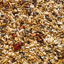 CONURE FOOD Bartholomews