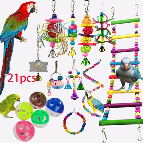 Pack parrot toys - parrot, set