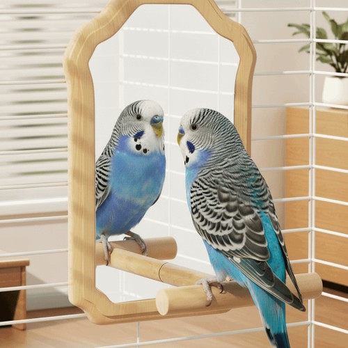 Wooden bird mirror - mirror, toy