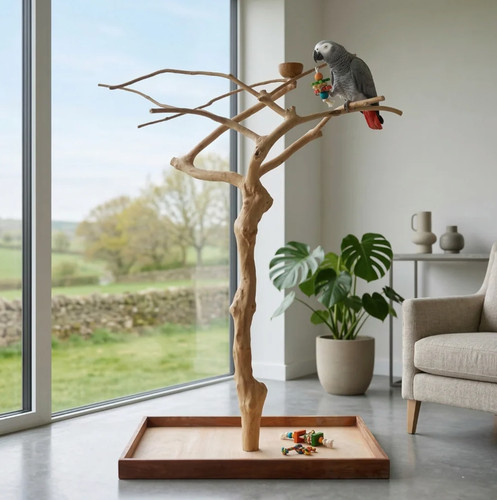 Large natural java wood - natural,