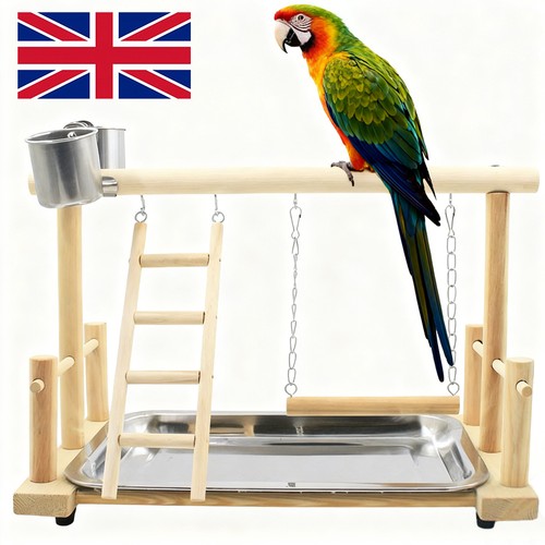 Parrot playstand bird - parrot, play
