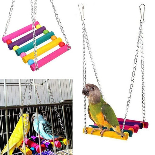 Pet bird parrot parakeet - pet,