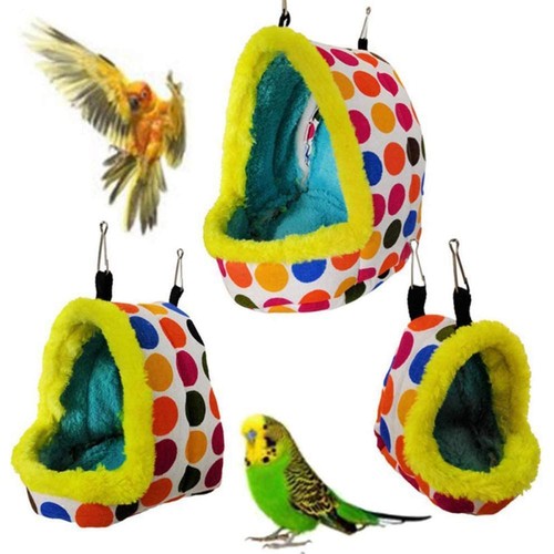 Pet bird parrot budgie - parrot,