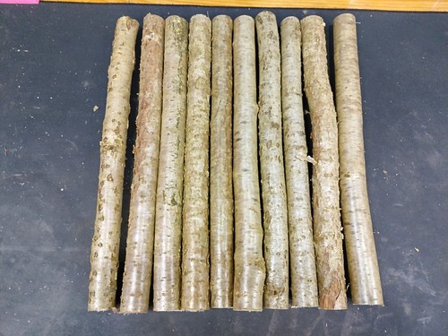 30cm 30 35mm - 30cm, x